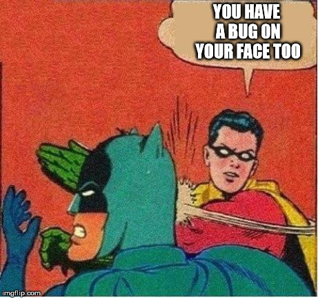 robin strikes back | YOU HAVE A BUG ON YOUR FACE TOO | image tagged in robin strikes back | made w/ Imgflip meme maker
