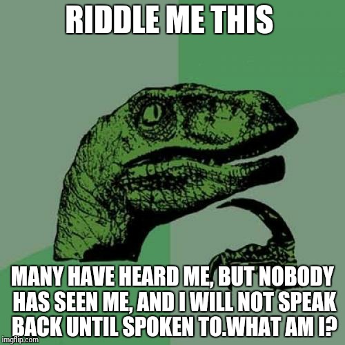 Philosoraptor Meme | RIDDLE ME THIS MANY HAVE HEARD ME, BUT NOBODY HAS SEEN ME, AND I WILL NOT SPEAK BACK UNTIL SPOKEN TO.WHAT AM I? | image tagged in memes,philosoraptor | made w/ Imgflip meme maker