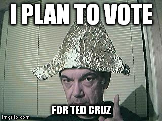 tin foil hat | I PLAN TO VOTE FOR TED CRUZ | image tagged in tin foil hat | made w/ Imgflip meme maker