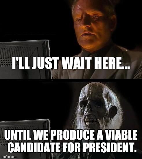 I'll Just Wait Here Meme | I'LL JUST WAIT HERE... UNTIL WE PRODUCE A VIABLE CANDIDATE FOR PRESIDENT. | image tagged in memes,ill just wait here | made w/ Imgflip meme maker
