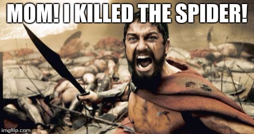 Sparta Leonidas | MOM! I KILLED THE SPIDER! | image tagged in memes,sparta leonidas | made w/ Imgflip meme maker