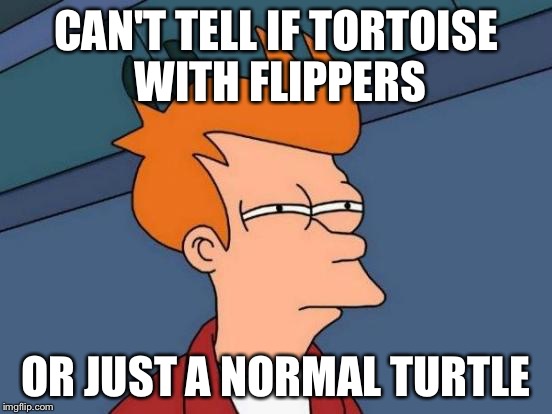 Futurama Fry Meme | CAN'T TELL IF TORTOISE WITH FLIPPERS OR JUST A NORMAL TURTLE | image tagged in memes,futurama fry | made w/ Imgflip meme maker