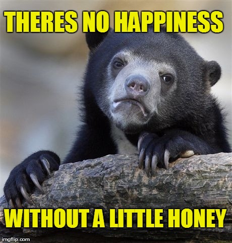 bear with no honey | THERES NO HAPPINESS WITHOUT A LITTLE HONEY | image tagged in memes,confession bear,happiness,honey bear,funny meme | made w/ Imgflip meme maker