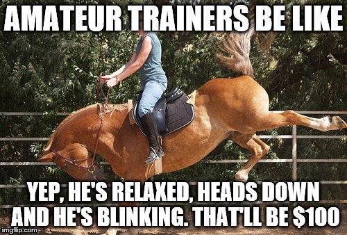 image tagged in horses | made w/ Imgflip meme maker
