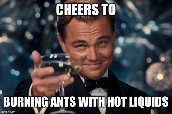 Leonardo Dicaprio Cheers Meme | CHEERS TO BURNING ANTS WITH HOT LIQUIDS | image tagged in memes,leonardo dicaprio cheers | made w/ Imgflip meme maker