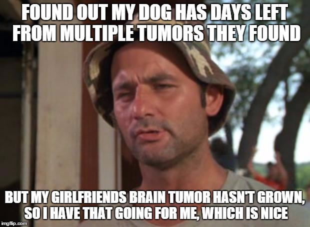 So I Got That Goin For Me Which Is Nice Meme | FOUND OUT MY DOG HAS DAYS LEFT FROM MULTIPLE TUMORS THEY FOUND BUT MY GIRLFRIENDS BRAIN TUMOR HASN'T GROWN, SO I HAVE THAT GOING FOR ME, WHI | image tagged in memes,so i got that goin for me which is nice | made w/ Imgflip meme maker