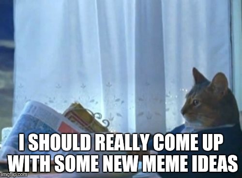 I Should Buy A Boat Cat Meme | I SHOULD REALLY COME UP WITH SOME NEW MEME IDEAS | image tagged in memes,i should buy a boat cat | made w/ Imgflip meme maker