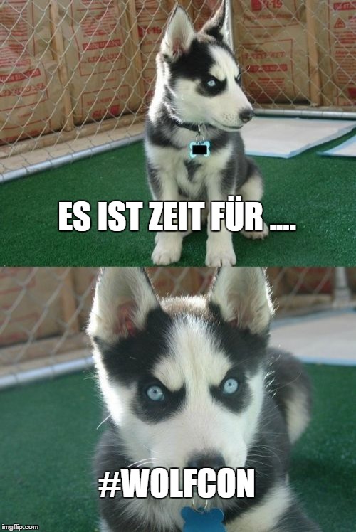 Insanity Puppy Meme | ES IST ZEIT FÜR .... #WOLFCON | image tagged in memes,insanity puppy | made w/ Imgflip meme maker