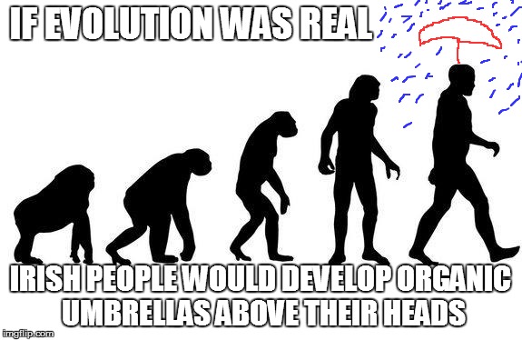 Human Evolution | IF EVOLUTION WAS REAL IRISH PEOPLE WOULD DEVELOP ORGANIC UMBRELLAS ABOVE THEIR HEADS | image tagged in human evolution | made w/ Imgflip meme maker