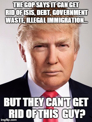 Donald Trump | THE GOP SAYS IT CAN GET RID OF ISIS, DEBT, GOVERNMENT WASTE, ILLEGAL IMMIGRATION... BUT THEY CAN'T GET RID OF THIS  GUY? | image tagged in donald trump | made w/ Imgflip meme maker
