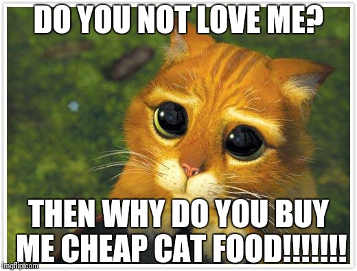 Cheap ass!!! | DO YOU NOT LOVE ME? THEN WHY DO YOU BUY ME CHEAP CAT FOOD!!!!!!! | image tagged in memes,shrek cat | made w/ Imgflip meme maker