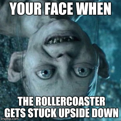 Gollum | YOUR FACE WHEN THE ROLLERCOASTER GETS STUCK UPSIDE DOWN | image tagged in memes,gollum | made w/ Imgflip meme maker