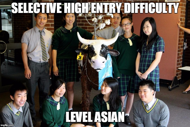 SELECTIVE HIGH ENTRY DIFFICULTY LEVEL ASIAN | made w/ Imgflip meme maker
