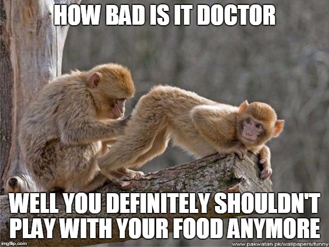 monkey | HOW BAD IS IT DOCTOR WELL YOU DEFINITELY SHOULDN'T PLAY WITH YOUR FOOD ANYMORE | image tagged in monkey | made w/ Imgflip meme maker