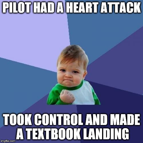 Success Kid Meme | PILOT HAD A HEART ATTACK TOOK CONTROL AND MADE A TEXTBOOK LANDING | image tagged in memes,success kid | made w/ Imgflip meme maker