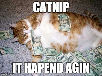 Fat Cat | CATNIP IT HAPEND AGIN | image tagged in catnip,party,cash,money,cat,fat | made w/ Imgflip meme maker