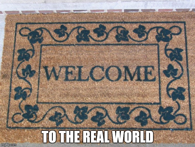 welcome | TO THE REAL WORLD | image tagged in welcome | made w/ Imgflip meme maker