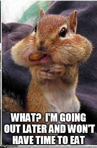 chipmunk saving for later | WHAT?  I'M GOING OUT LATER AND WON'T HAVE TIME TO EAT | image tagged in chipmunk,food,saving food,cache | made w/ Imgflip meme maker