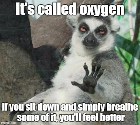 Stop!!! | It's called oxygen If you sit down and simply breathe some of it, you'll feel better | image tagged in memes,chill out lemur,relax,funny | made w/ Imgflip meme maker