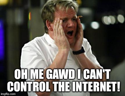 ramsay wtf | OH ME GAWD I CAN'T CONTROL THE INTERNET! | image tagged in ramsay wtf | made w/ Imgflip meme maker