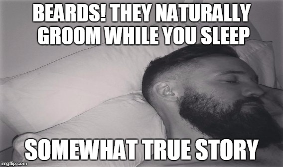Sleeping Beards  | BEARDS! THEY NATURALLY GROOM WHILE YOU SLEEP SOMEWHAT TRUE STORY | image tagged in beards | made w/ Imgflip meme maker