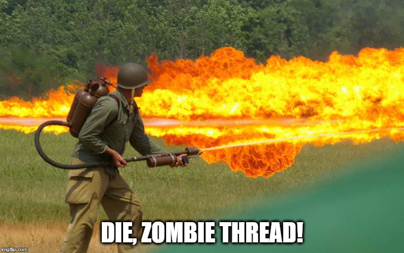 DIE, ZOMBIE THREAD! | image tagged in flamethrower,necro,necromancy,thread necromancy | made w/ Imgflip meme maker