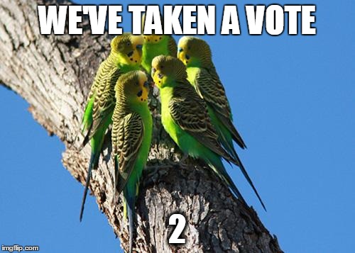 The Meeting | WE'VE TAKEN A VOTE 2 | image tagged in the meeting | made w/ Imgflip meme maker
