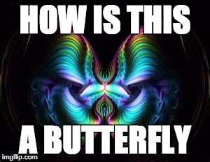 HOW IS THIS A BUTTERFLY | made w/ Imgflip meme maker