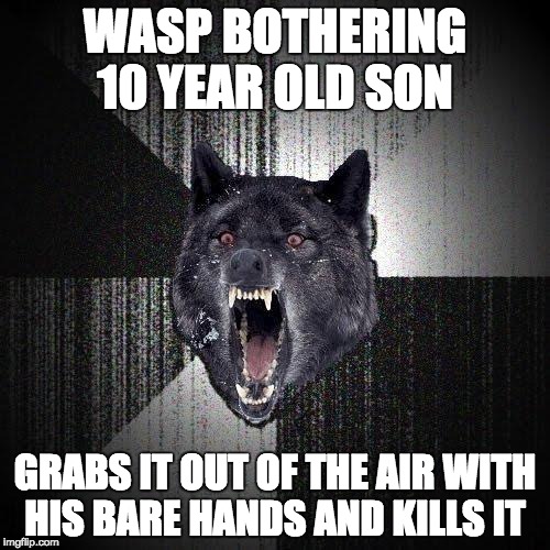 Insanity Wolf | WASP BOTHERING 10 YEAR OLD SON GRABS IT OUT OF THE AIR WITH HIS BARE HANDS AND KILLS IT | image tagged in memes,insanity wolf,AdviceAnimals | made w/ Imgflip meme maker