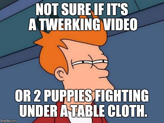 Futurama Fry | NOT SURE IF IT'S A TWERKING VIDEO OR 2 PUPPIES FIGHTING UNDER A TABLE CLOTH. | image tagged in memes,futurama fry | made w/ Imgflip meme maker