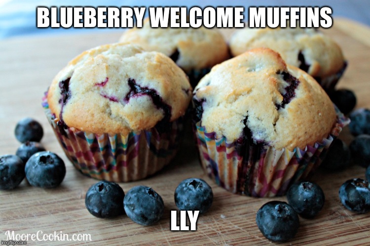 BLUEBERRY WELCOME MUFFINS LLY | made w/ Imgflip meme maker