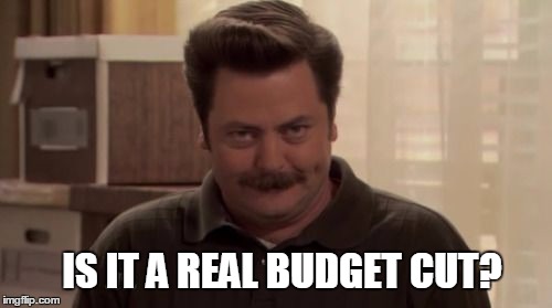 Ron Swanson  | IS IT A REAL BUDGET CUT? | image tagged in ron swanson | made w/ Imgflip meme maker