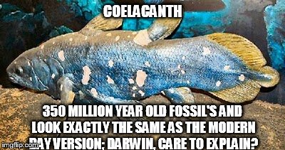 COELACANTH 350 MILLION YEAR OLD FOSSIL'S AND LOOK EXACTLY THE SAME AS THE MODERN DAY VERSION; DARWIN, CARE TO EXPLAIN? | made w/ Imgflip meme maker