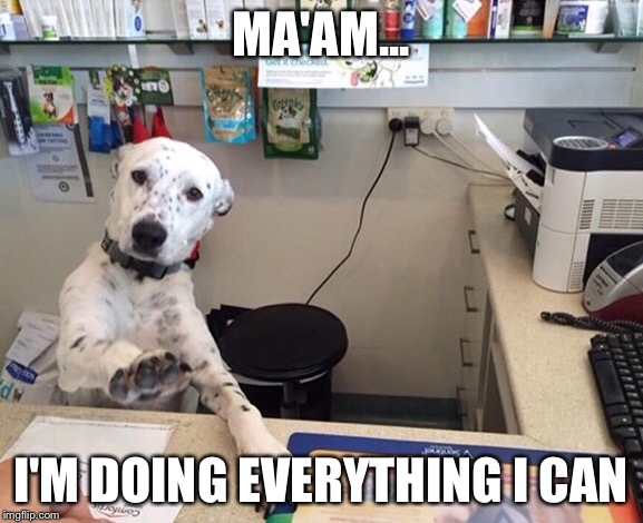 Be Patient  | MA'AM... I'M DOING EVERYTHING I CAN | image tagged in please wait,funny memes,funny,memes,dogs | made w/ Imgflip meme maker