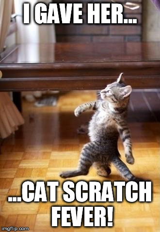 Cool Cat Stroll Meme | I GAVE HER... ...CAT SCRATCH FEVER! | image tagged in memes,cool cat stroll | made w/ Imgflip meme maker