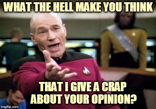 Picard Wtf | WHAT THE HELL MAKE YOU THINK THAT I GIVE A CRAP ABOUT YOUR OPINION? | image tagged in memes,picard wtf | made w/ Imgflip meme maker