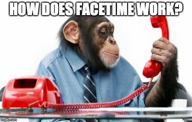 PhoneMonkey | HOW DOES FACETIME WORK? | image tagged in phonemonkey | made w/ Imgflip meme maker