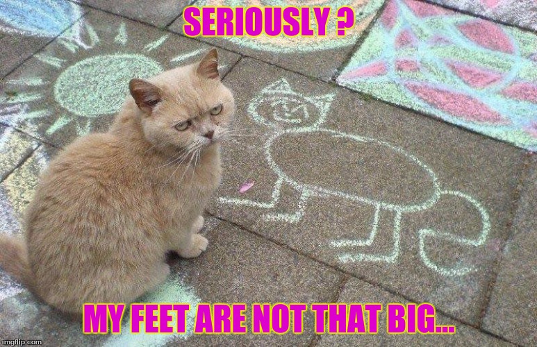SERIOUSLY ? MY FEET ARE NOT THAT BIG... | image tagged in pets | made w/ Imgflip meme maker