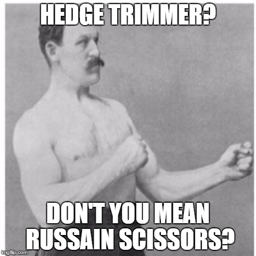 Overly Manly Man | HEDGE TRIMMER? DON'T YOU MEAN RUSSAIN SCISSORS? | image tagged in memes,overly manly man | made w/ Imgflip meme maker
