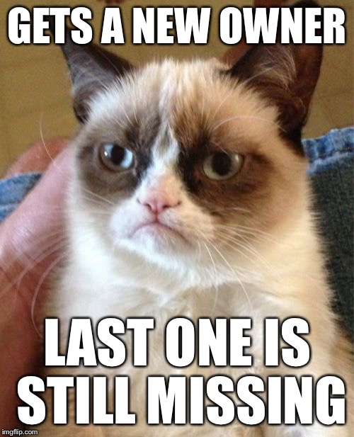 Grumpy Cat | GETS A NEW OWNER LAST ONE IS STILL MISSING | image tagged in memes,grumpy cat | made w/ Imgflip meme maker