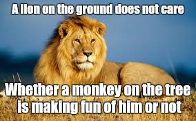 A lion | A lion on the ground does not care Whether a monkey on the tree is making fun of him or not | image tagged in that would be great | made w/ Imgflip meme maker