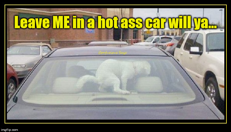 Leave ME in a hot ass car will ya... | image tagged in dog shits in car,funny | made w/ Imgflip meme maker