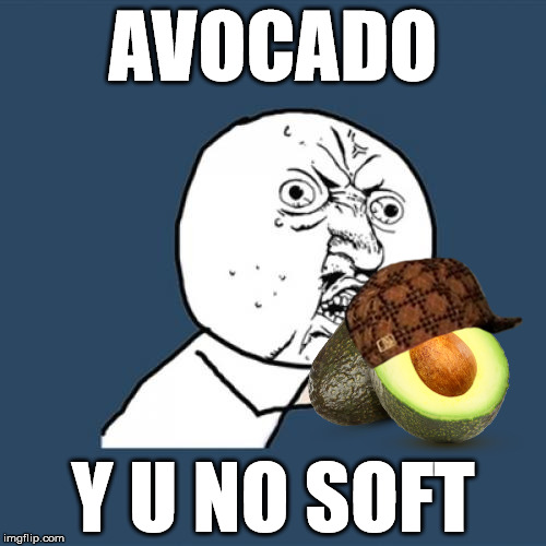 Y U No | AVOCADO Y U NO SOFT | image tagged in memes,y u no,scumbag | made w/ Imgflip meme maker