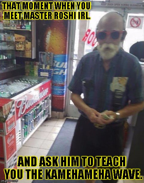 master Roshi  | THAT MOMENT WHEN YOU MEET MASTER ROSHI IRL. AND ASK HIM TO TEACH YOU THE KAMEHAMEHA WAVE. | image tagged in master roshi | made w/ Imgflip meme maker