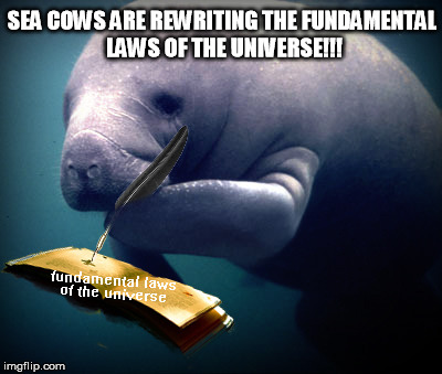 Sea cows are rewriting the fundamental laws of the universe!!! | SEA COWS ARE REWRITING THE FUNDAMENTAL LAWS OF THE UNIVERSE!!! | image tagged in sea cow,universe,laws,fundamental,wtf,doom | made w/ Imgflip meme maker