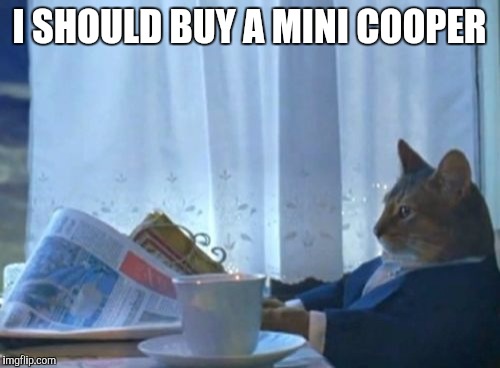 I Should Buy A Boat Cat | I SHOULD BUY A MINI COOPER | image tagged in memes,i should buy a boat cat,AdviceAnimals | made w/ Imgflip meme maker
