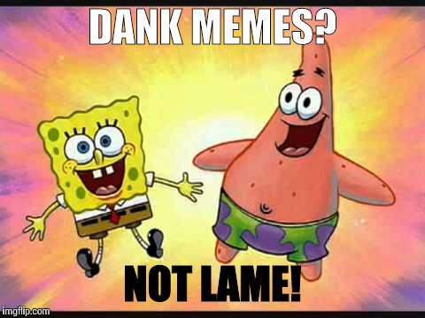Not lame | DANK MEMES? NOT LAME! | image tagged in not lame | made w/ Imgflip meme maker