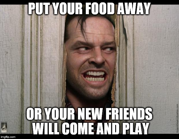 Here's Johnny | PUT YOUR FOOD AWAY OR YOUR NEW FRIENDS WILL COME AND PLAY | image tagged in here's johnny | made w/ Imgflip meme maker
