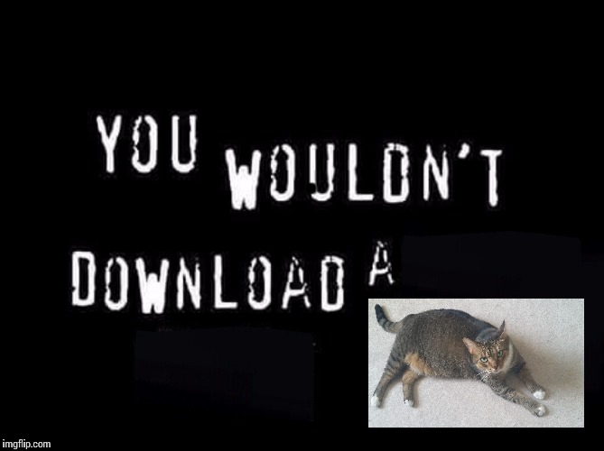 You wouldnt download a | . | image tagged in you wouldnt download a | made w/ Imgflip meme maker