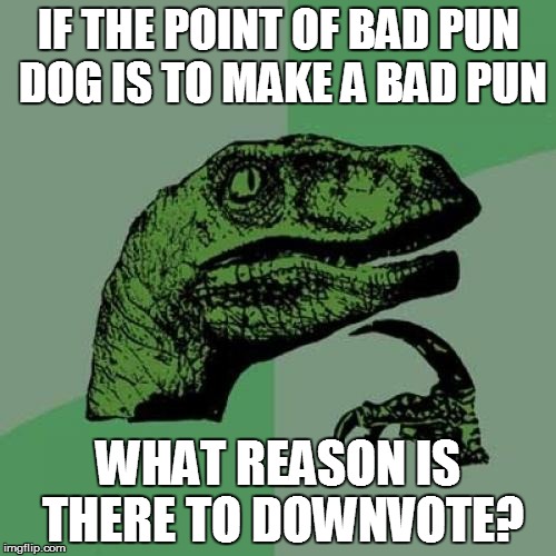 When it's a good pun? | IF THE POINT OF BAD PUN DOG IS TO MAKE A BAD PUN WHAT REASON IS THERE TO DOWNVOTE? | image tagged in memes,philosoraptor,downvote fairy | made w/ Imgflip meme maker